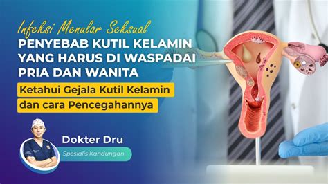 Penyebab Kutil Kelamin Yang Harus Diwaspadai Pria Dan Wanita YouTube