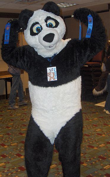 Userkakuradyfeatured Pictures Wikifur The Furry Encyclopedia