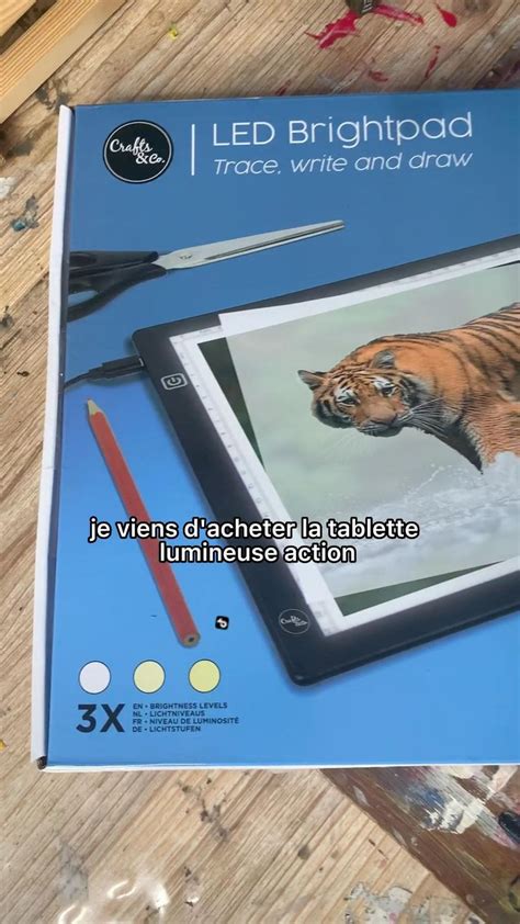 Test De La Tablette Lumineuse Action Avec Un De Mes Dessins