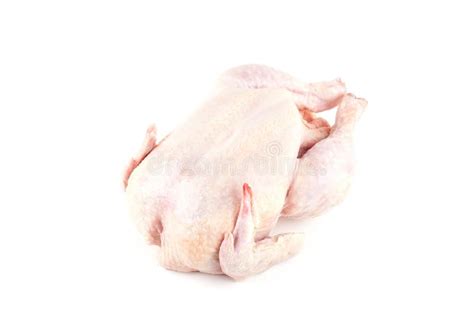 Raw Chicken Carcass On White Stock Photo Image Of Eating Farm