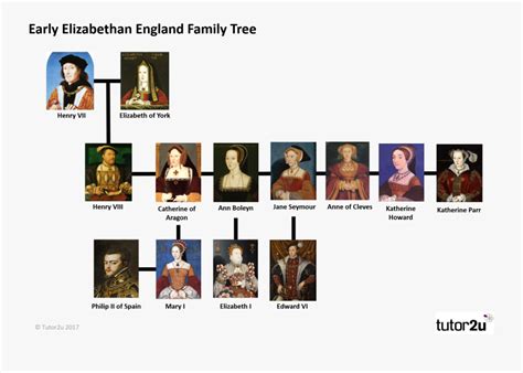 Tudor Family Tree Henry Vii , Free Transparent Clipart - ClipartKey