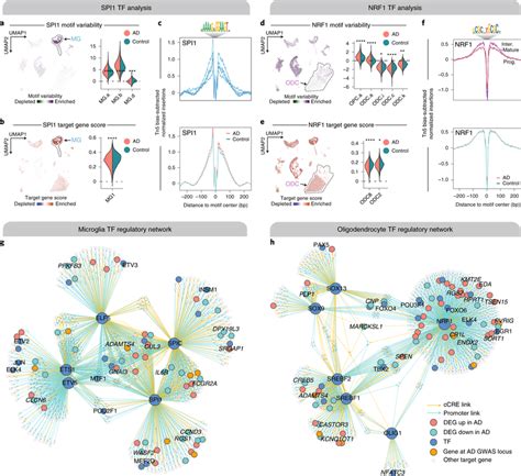 Cell Subpopulation Specific Transcription Factor Regulation In Download Scientific Diagram