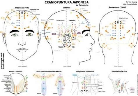 Ynsa Scalp Acupuncture T P E Itim