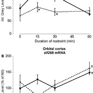 C Fos And Zif Mrna Relative Levels In The Ls Levels Of C Fos Mrna