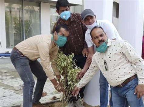 Environment Day 2020 Tree Plantation