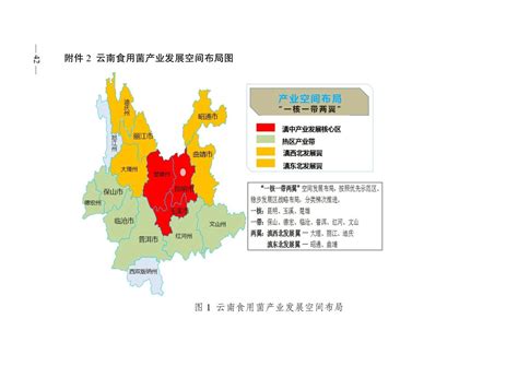 云南省供销合作社联合社关于印发《云南省食用菌产业“十四五”发展规划和二〇三五年远景目标》的通知 农小蜂