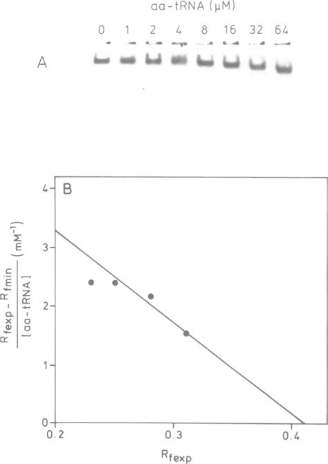 A Zone Interference Gel Electrophoresis Of EF Tu GDP Aa TRNA The