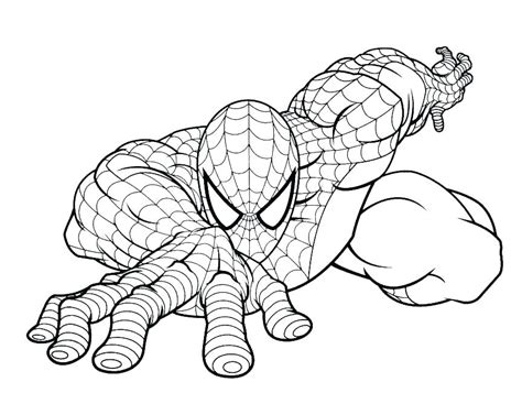 Spider Man Coloring Pages At Getcolorings Free Printable