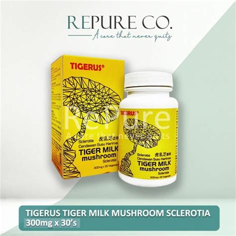 Free Shippingtigerus S S Mg Mg Tiger Milk Mushroom