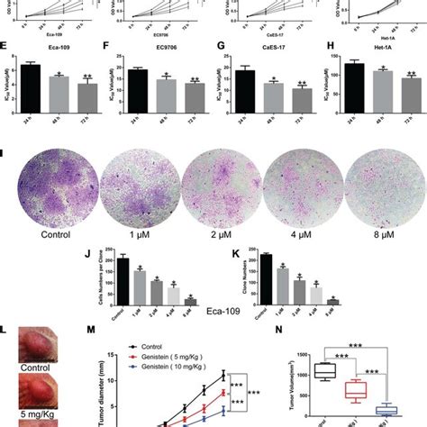 Genistein Inhibits The Proliferation Of Esophageal Cancer Cells A