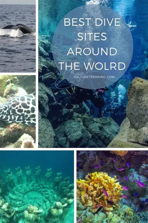 Top 22 Diving Locations Around the World