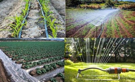 Different Types Of Irrigation Systems