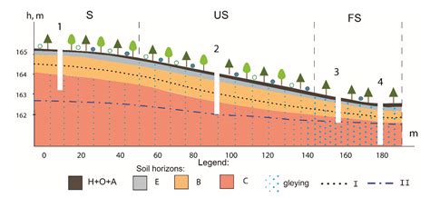 Forests Free Full Text Labile And Stable Fractions Of Organic