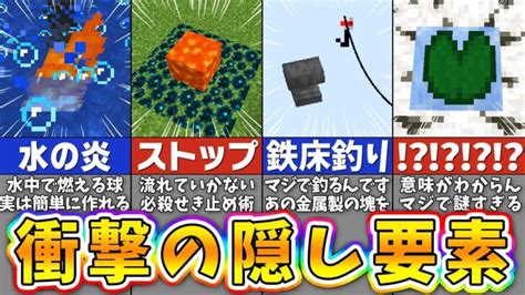 【マイクラ】あまりにも衝撃的すぎるバグ裏技＆小ネタ12選【まいくら・マインクラフト】 Minecraft Summary マイクラ動画