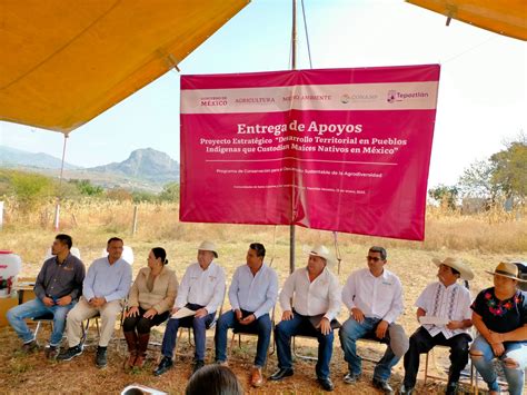 Entrega de apoyos a productores de maíces nativos Representación