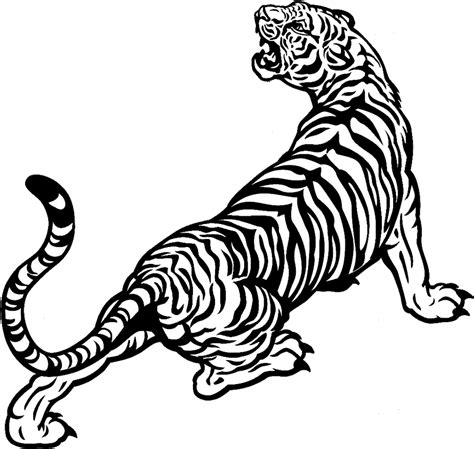 White Tiger Drawing Black And White Black And White Tiger Drawing