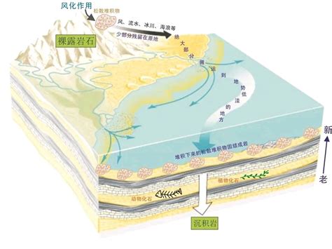 科普：地球的历史｜认识沉积岩（转自济南微讯） 哔哩哔哩