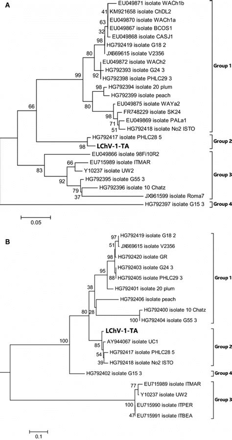 Phylogenetic Trees Derived From Aligned Rdrp And Hsp70h Nucleotide Nt