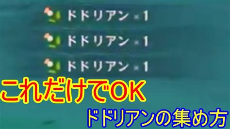 毎回取ろう！ドドリアンのおすすめ採取場所！【原神】 Youtube