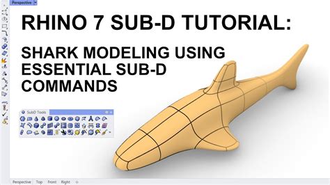 Rhino Organic 3D Tutorial Modelling A Shark Using Essential Sub D