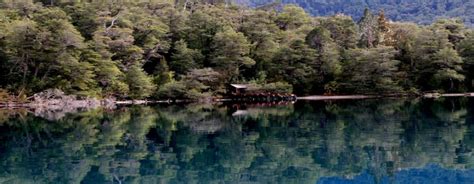 Parque Nacional Los Alerces Chubut Argentina Guía de Parques