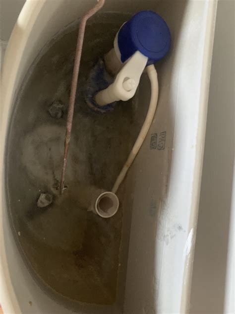 Toilet Wont Stop Filling Rplumbing