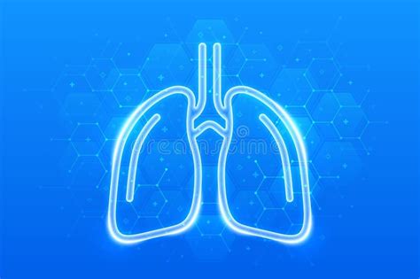 Lungs Icon Human Respiratory System Lungs Anatomy Treatment Of Lung