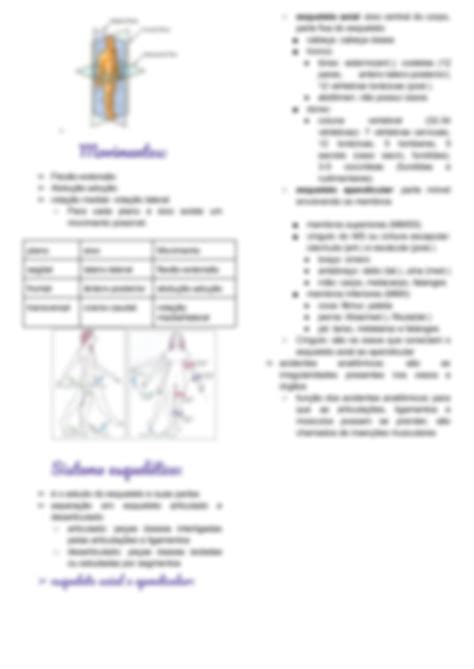 Solution Introdu O A Anatomia Studypool