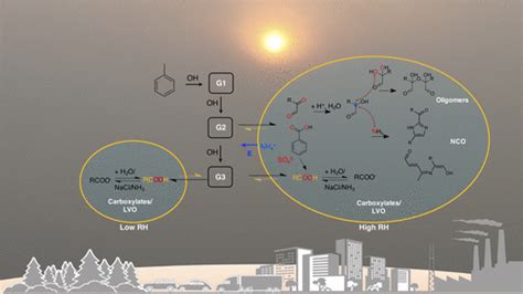 甲苯光氧化多代生产二次有机气溶胶environmental Science And Technology X Mol