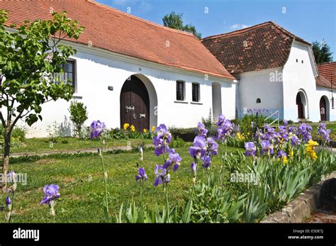 Old Czech (Moravian) village house Stock Photo - Alamy