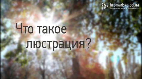 Что такое люстрация? - YouTube