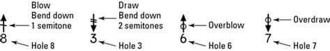 How To Read Harmonica Tabs ⋆ Harmonica Guide And Tabs Online