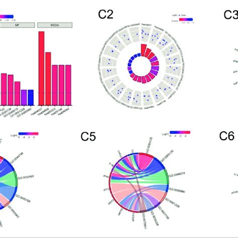 Enrichment Analysis Of Ferroptosis Related Degs In Is C1 Column Download Scientific Diagram