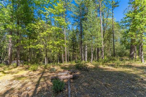 Pine Grove Ca Real Estate Pine Grove Homes For Sale ®