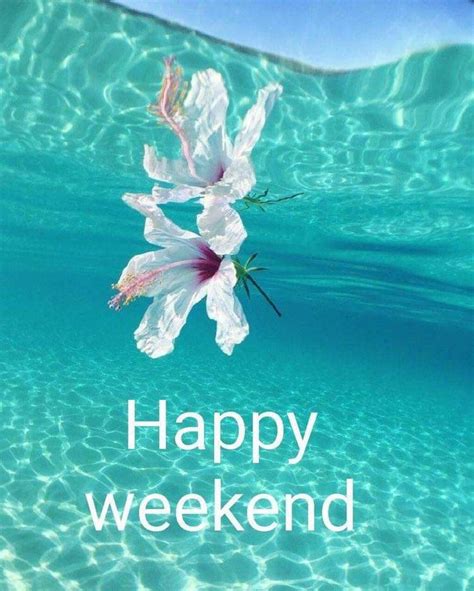 Pin von Annie Kemble auf Weekend greetings Lustige guten morgen grüße