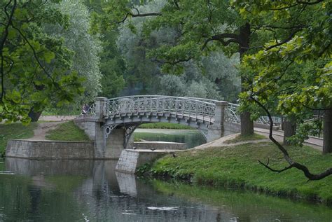 Tree Connection Built Structure Arch Bridge Growth Bridge Man