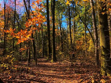 Pennsylvanias Moraine State Park One Of The Best Fall Getaways In Pa