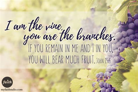 John 155 Bearing Fruit In Him