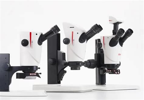 ทำไมกล้องส่องเพชรและอัญมณี ต้องเลือก Leica Leica Microscope Gemology Jewelry Application