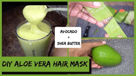 Diy Aloe Vera Hair Mask For Extreme Moisture Hair Growth Shea Butter