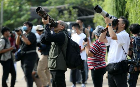 Peringati Hari Cinta Puspa Dan Satwa Nasional Kehati Pfi Gelar Lomba Foto