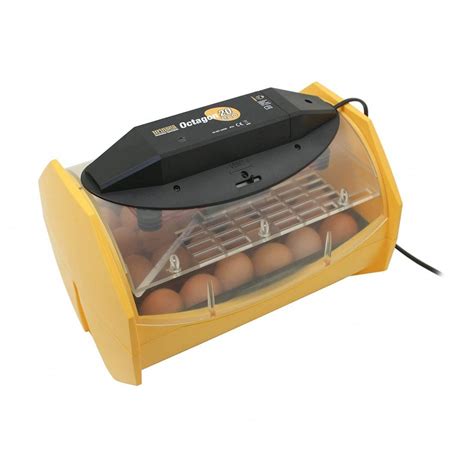 Top Best Egg Incubators In Reviews Goonproducts