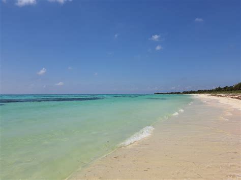 Visiting Cozumel? Don't miss the natural wonders of Punta Sur Park