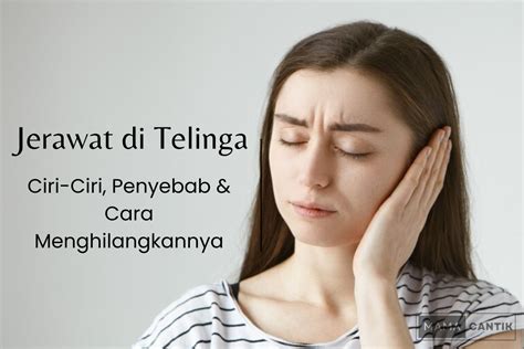 Jerawat Di Telinga Ciri Penyebab Obat Cara Menghilangkan