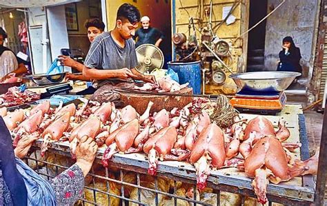 Chicken Prices Increased In Lahore Other Punjab Cities Pakistan Observer