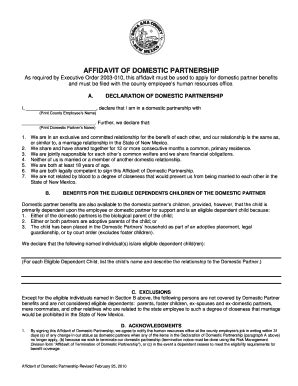 Fillable Online Donaanacounty AFFIDAVIT OF DOMESTIC PARTNERSHIP As