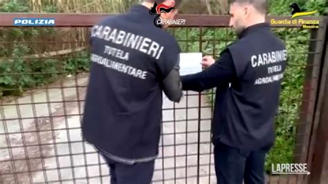 VIDEO Mafia Blitz Contro Clan Dei Nebrodi 37 Misure Cautelari LaPresse