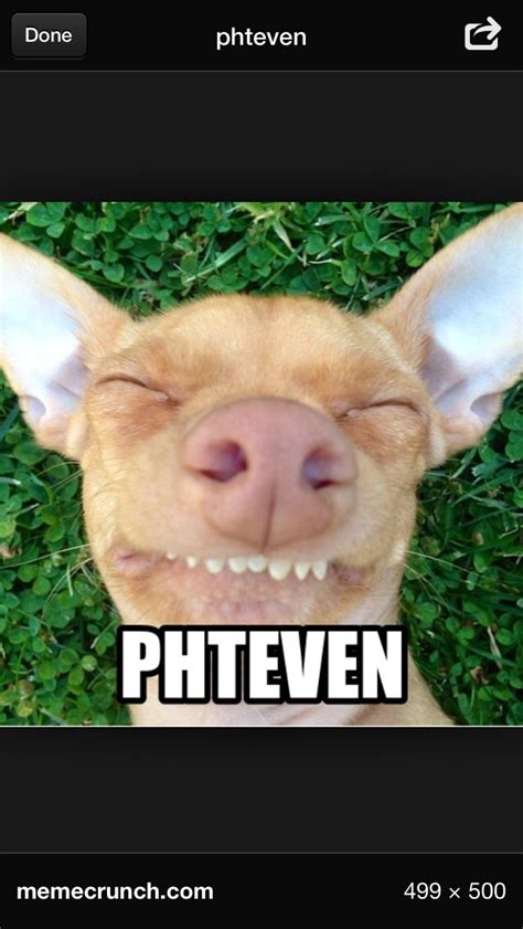 Phteven License Plate Meme