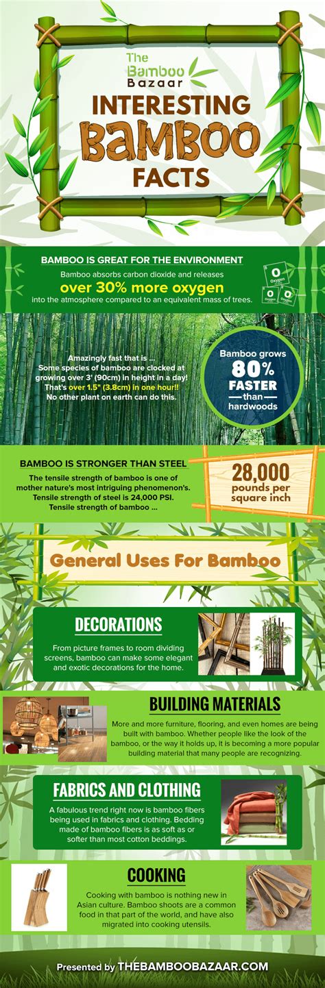 Why Bamboo Is Actually The Perfect Plant Daily Infographic Perfect