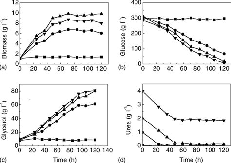 Time Course Of Batch Fermentation At Different Initial Urea